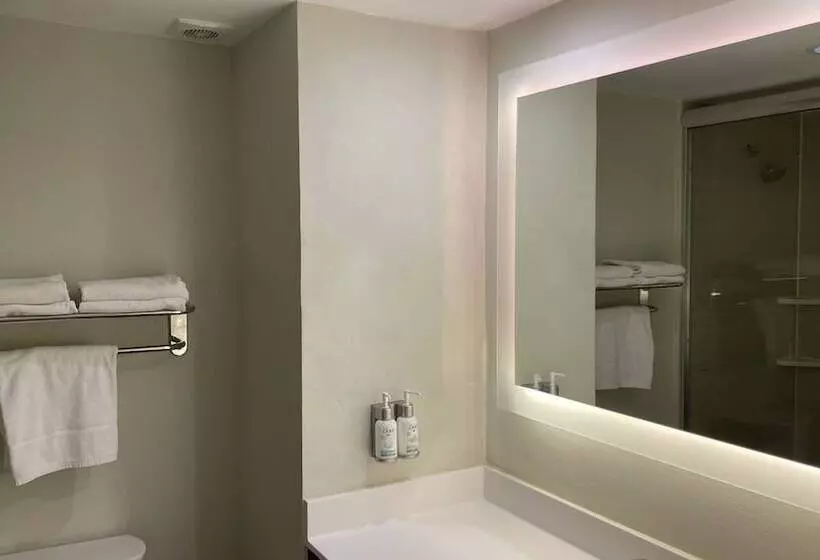 スタンダードルーム, Holiday Inn Tampico Altamira, An Ihg