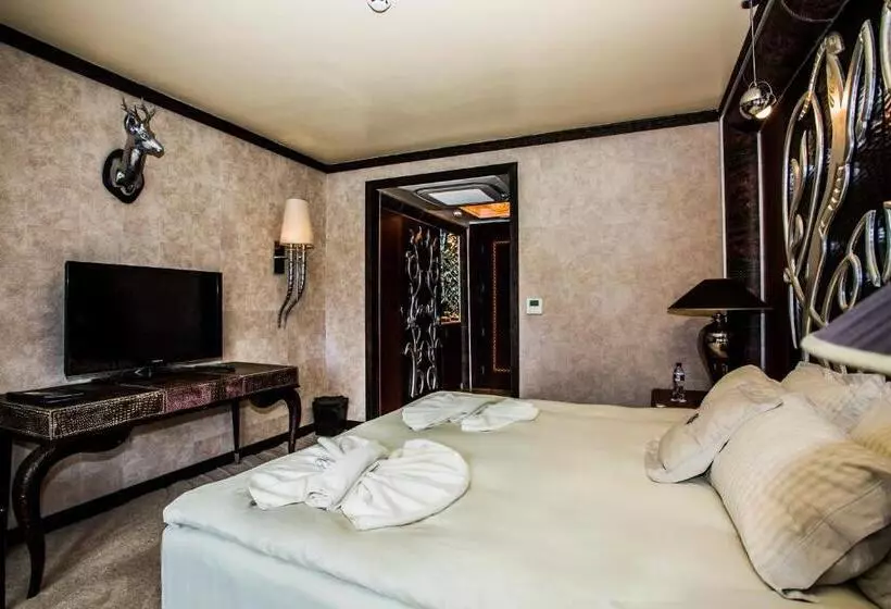 اتاق استاندارد با چشم‌انداز پارک, Royal Castle Design & Spa