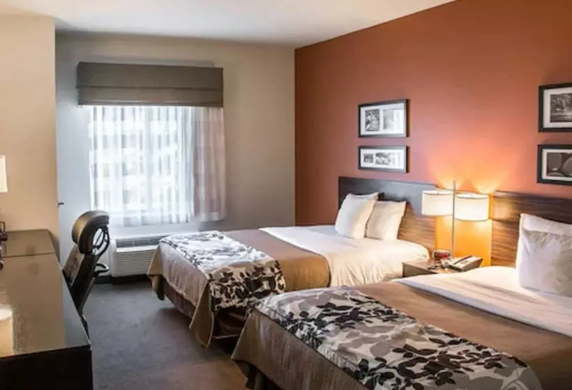２ダブルベッドのスタンダードルーム, Sleep Inn & Suites Medical Center