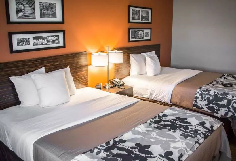 ２ダブルベッドのスタンダードルーム, Sleep Inn & Suites Medical Center