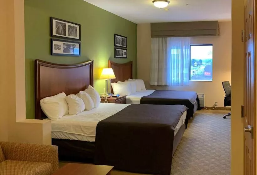 ２ダブルベッドのスタンダードルーム, Sleep Inn & Suites