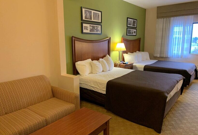 Standard Room 2 Double Beds