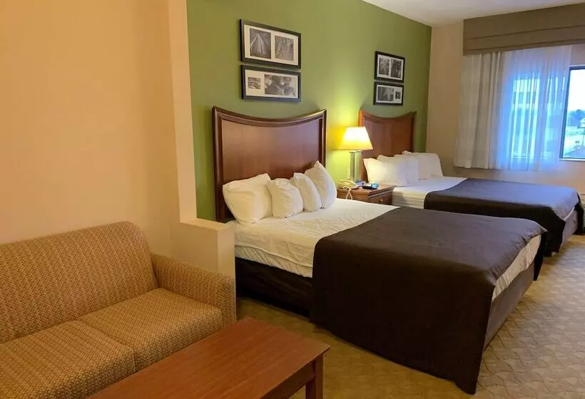 Standard Room 2 Double Beds