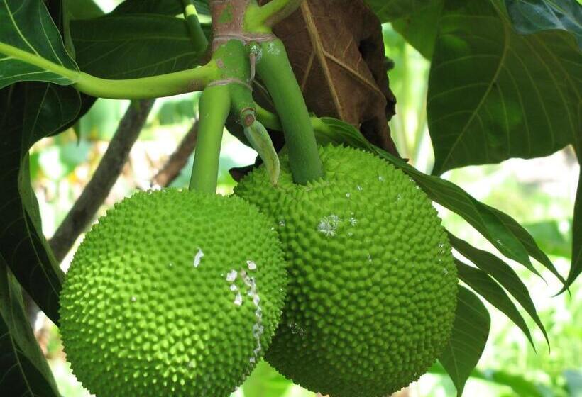 اتاق استاندارد, Tamarind Great House