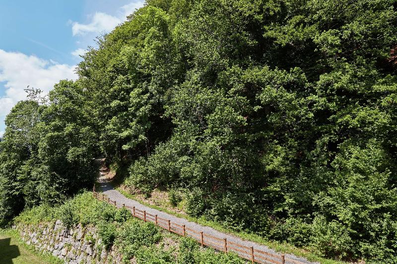 اتاق سوپریور با تخت بزرگ, Grand Tirolia Kitzbühel Member Of Hommage Luxury Hotels Collection