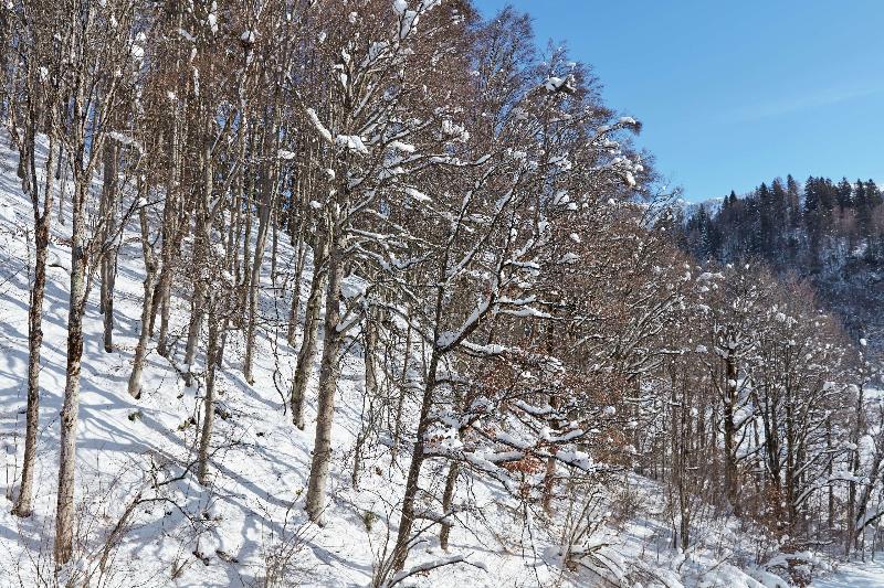 اتاق سوپریور با تخت بزرگ, Grand Tirolia Kitzbühel Member Of Hommage Luxury Hotels Collection