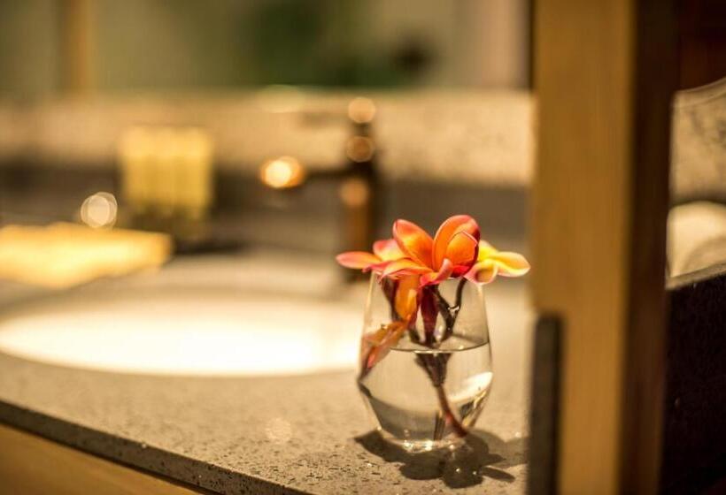 سوئیت با تخت بزرگ, Tien Terrace