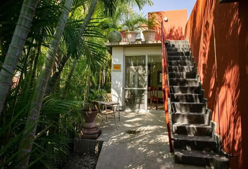 デラックススイート, Casa Chu