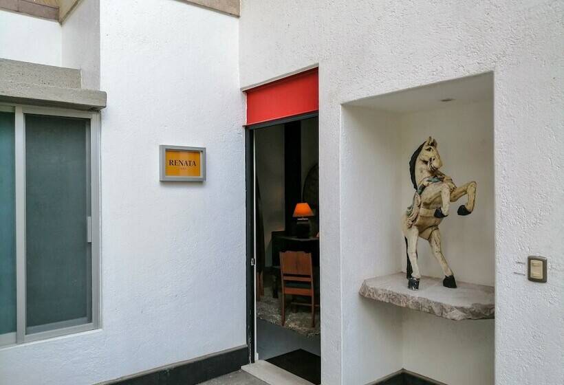 豪华套房, Casa Chu