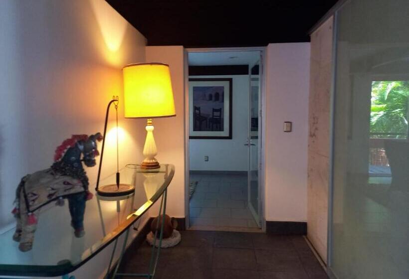 豪华套房, Casa Chu