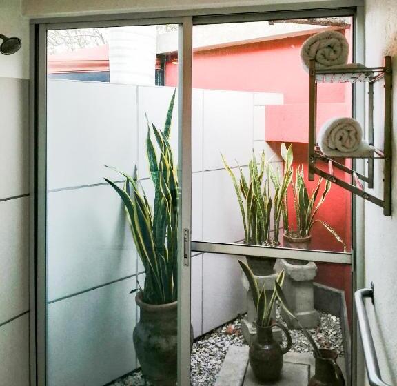 豪华套房, Casa Chu