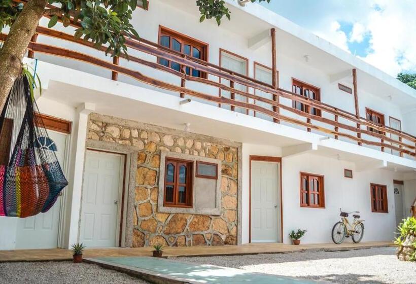 Standart Oda, El Manglar