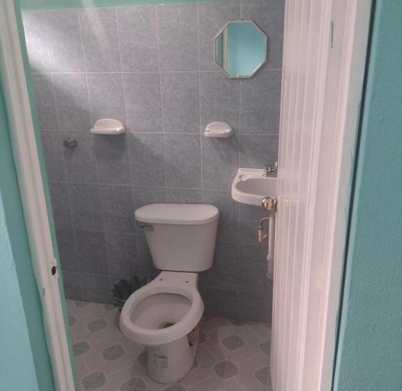 Chambre Standard, Hostal Eclipse Oaxaca