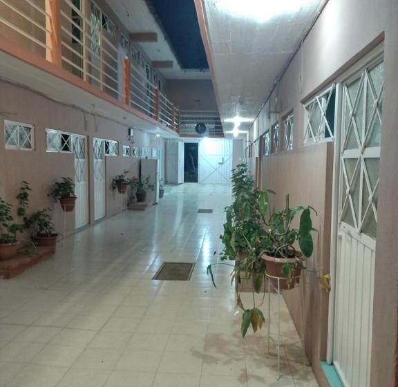 Chambre Standard, Hostal Eclipse Oaxaca