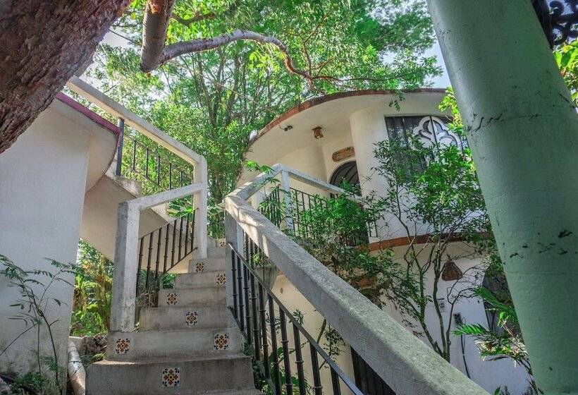 ロマンチックな部屋, Paraíso Encantado