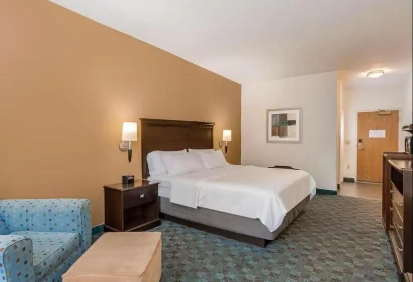 キングサイズベッドのスタンダードルーム, Holiday Inn Express & Suites Canton, An Ihg