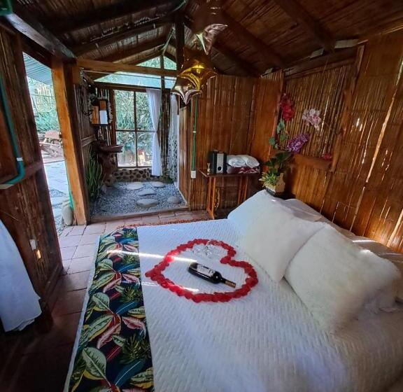 اتاق لوکس, Villa Sonia Eco Hostel