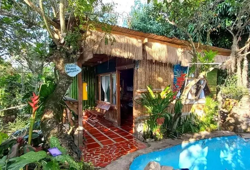Perhehuone, Villa Sonia Eco Hostel