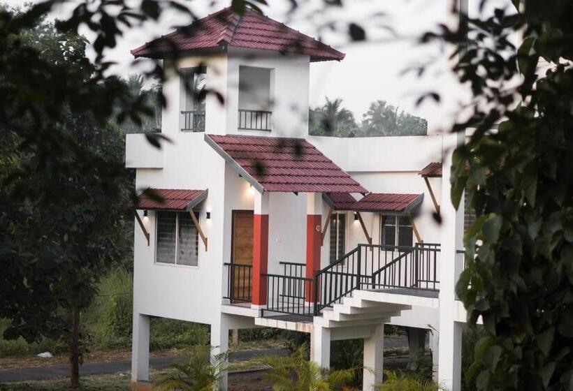 豪华套房, Rockdale Resort