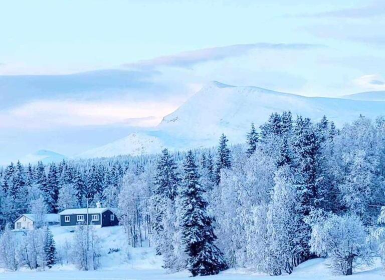 Апартаменты 1 Спальня с Террасой, Kultsjögården Saxnäs Marsfjällen 9