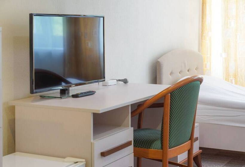 اتاق استاندارد سه نفره, City Hotel