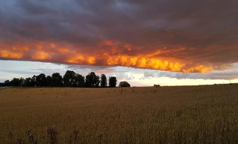 غرفة قياسية فردية, Håknäs Vandrarhem