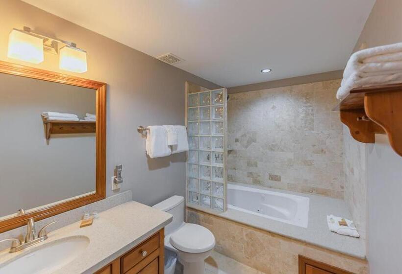 豪华海景房, Hol Chan Reef Resort & Villas