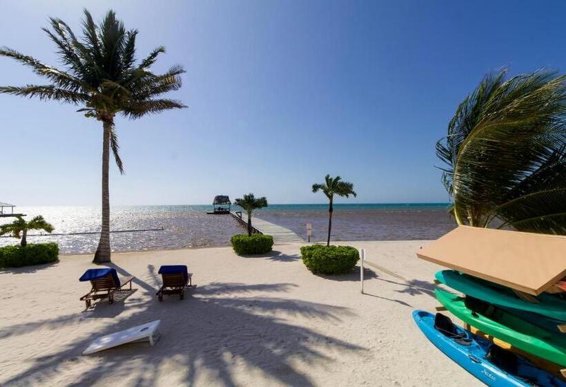 带大床的套房, Hol Chan Reef Resort & Villas