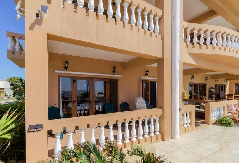 带大床的套房, Hol Chan Reef Resort & Villas