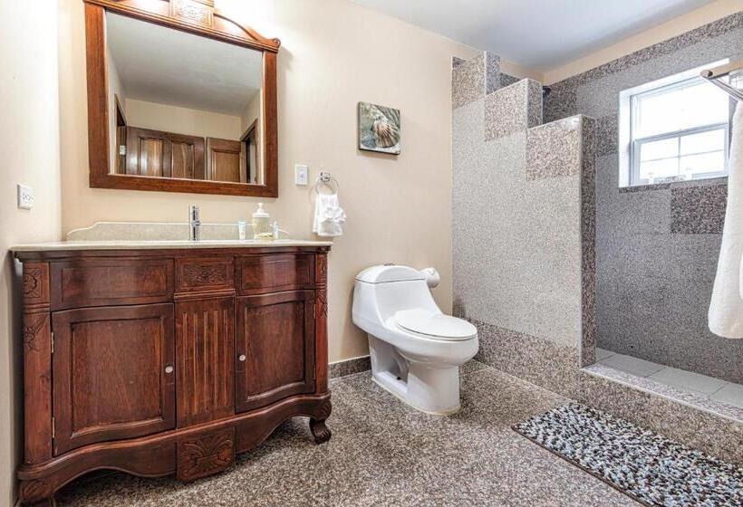 带1个卧室的公寓, Hol Chan Reef Resort & Villas