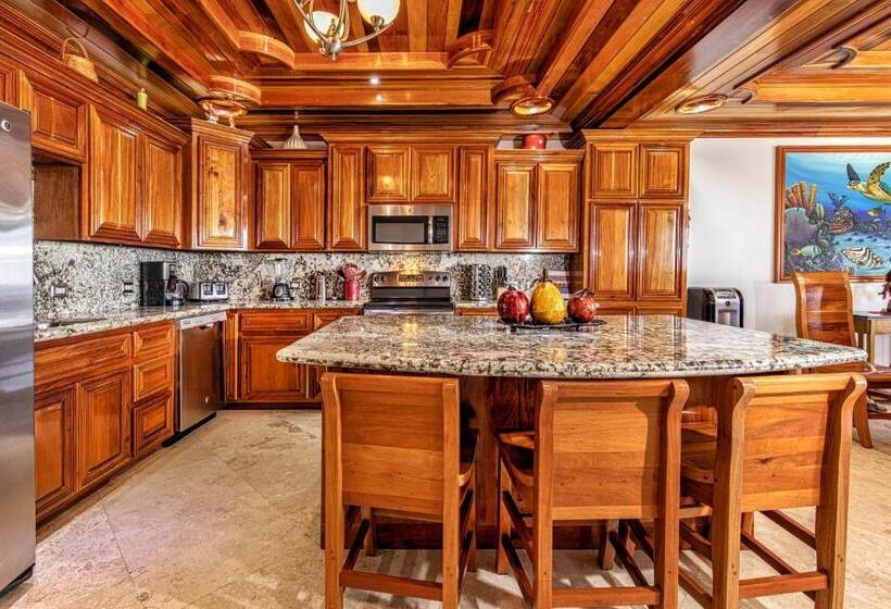 带1个卧室的豪华别墅, Hol Chan Reef Resort & Villas