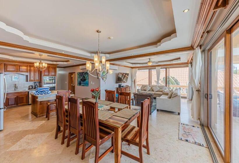 豪华海景房, Hol Chan Reef Resort & Villas