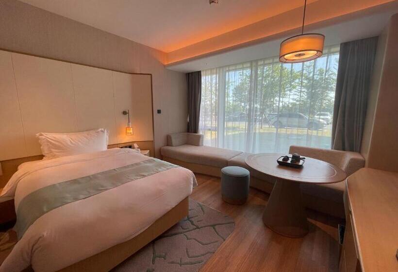 Номер Стандарт Кровать Кинг Адаптированный для Инвалидов, Wyndham Garden Jinjiang