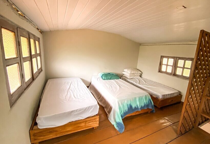 Chalet 1 Chambre, Pousada Bellatrix Ecolodge   Reserva De Sapiranga   Praia Do Forte   Bahia