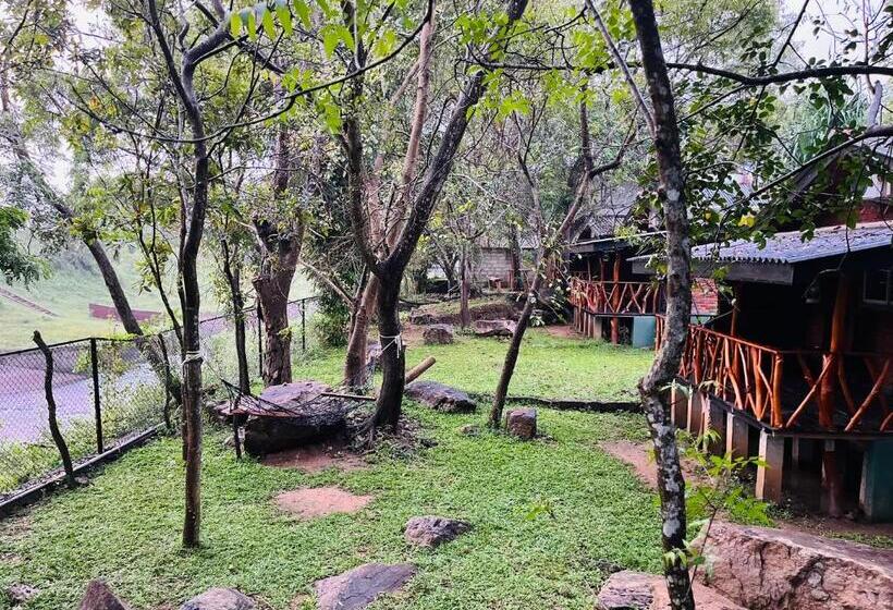 اتاق خانوادگی, Birds Paradise Inn
