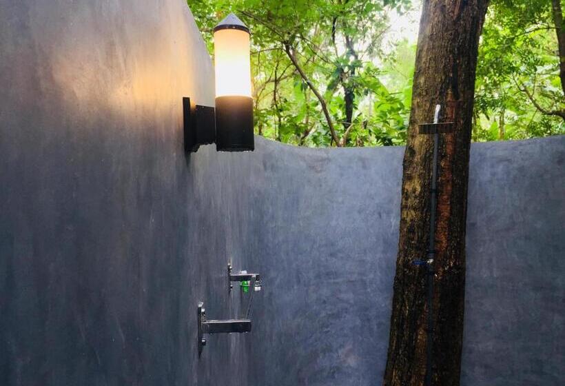 غرفة ديلوكس, Birds Paradise Inn