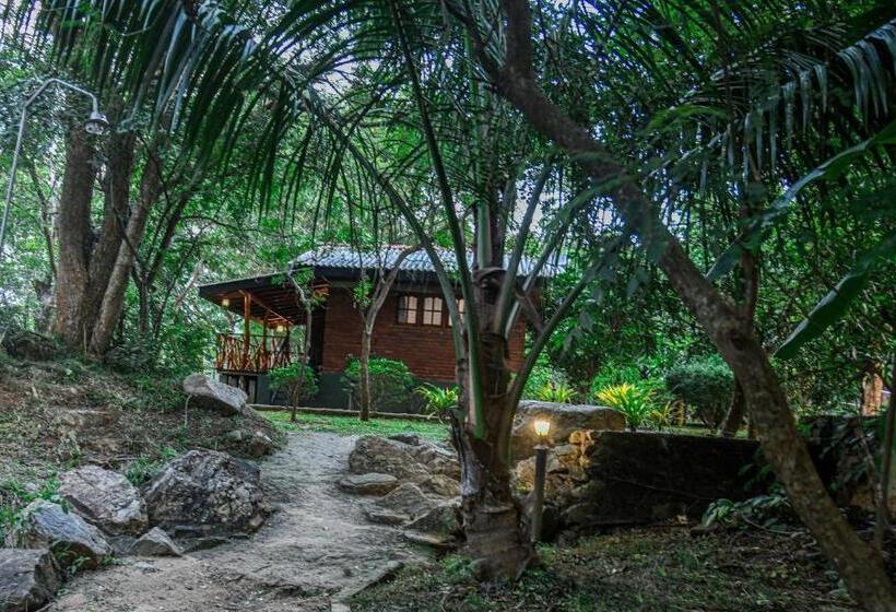 غرفة عائلية, Birds Paradise Inn