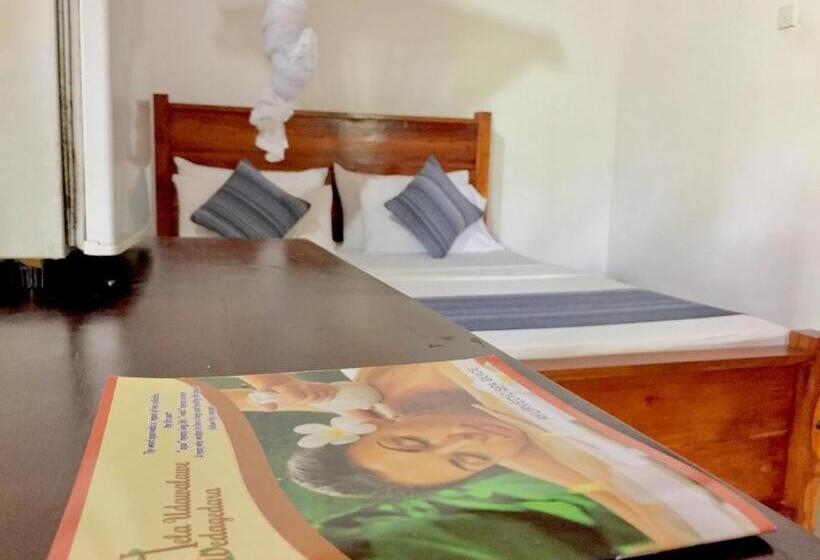 اتاق خانوادگی, Birds Paradise Inn