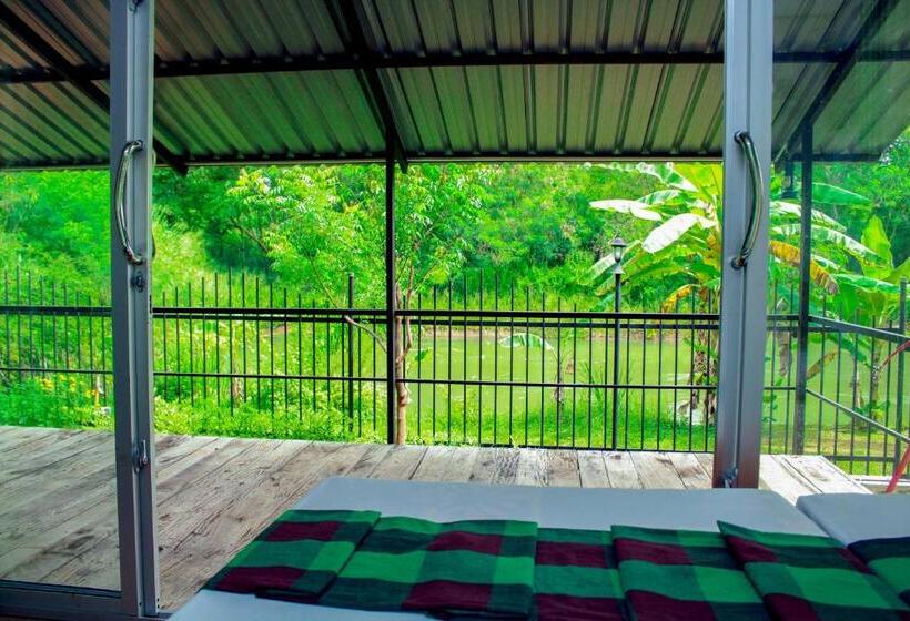 غرفة قياسية مطلّة علي البحيرة, Birds Paradise Inn