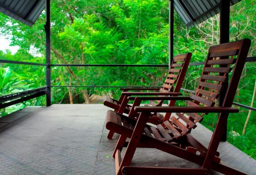 غرفة ديلوكس, Birds Paradise Inn