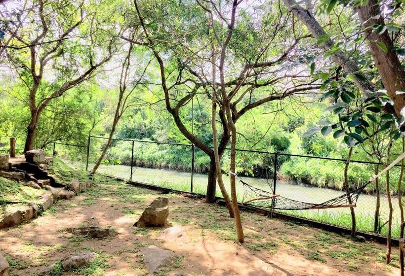 غرفة ديلوكس عائلية, Birds Paradise Inn