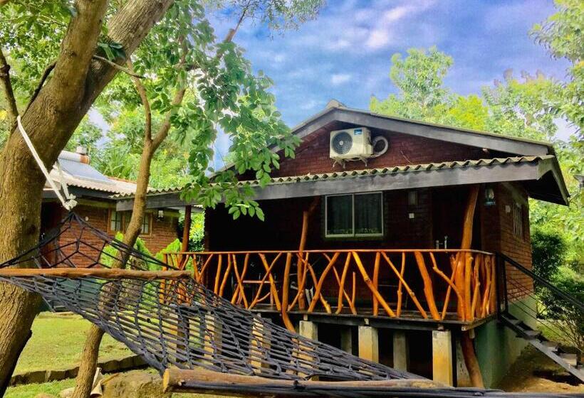 اتاق لوکس خانوادگی, Birds Paradise Inn