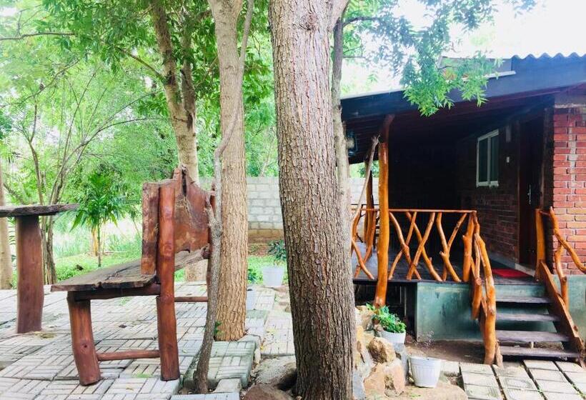 غرفة ديلوكس عائلية, Birds Paradise Inn