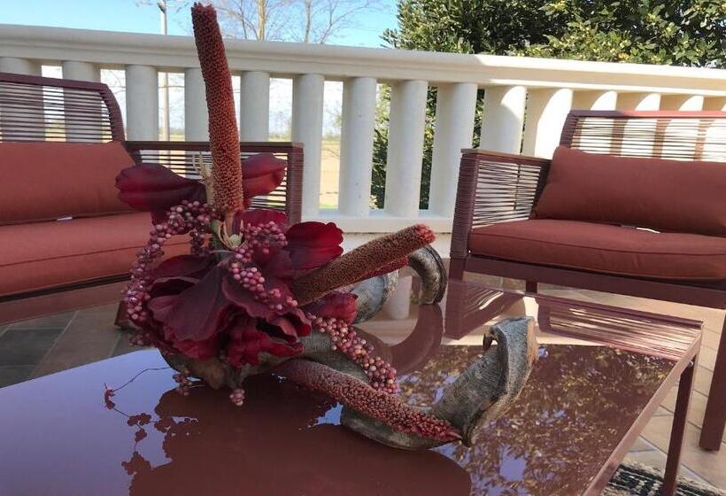 带露台的小型套房, B&b Tenuta Della Duchessa