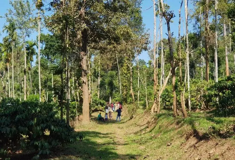 マウンテンビュースタンダードルーム, The Suvistara Wayanad Kerala