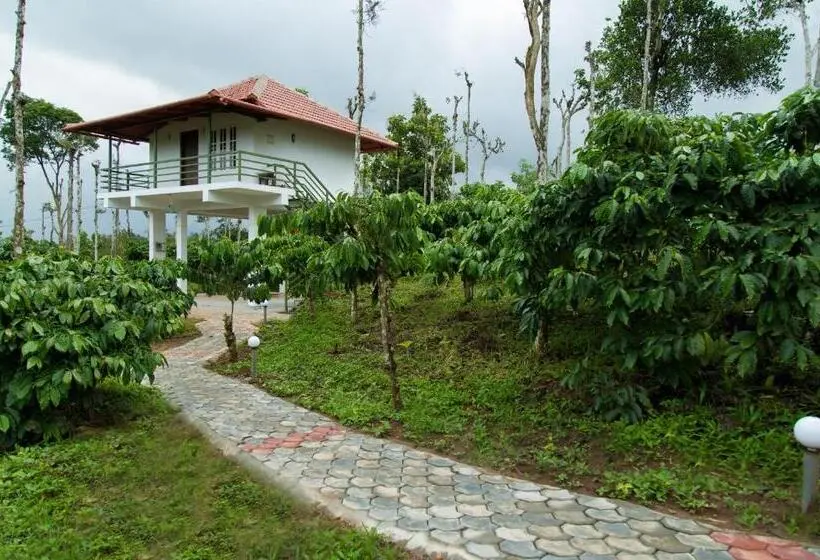 マウンテンビュースタンダードルーム, The Suvistara Wayanad Kerala