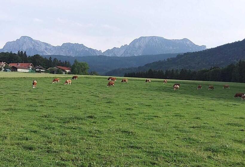 带2个卧室的公寓, Straßer Hof
