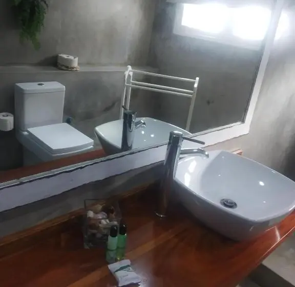 スタンダードシングルルーム, Acacia Inn Guesthouse