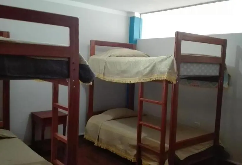 ルームシェアのワンベッド, Hostel Puno Backpackers