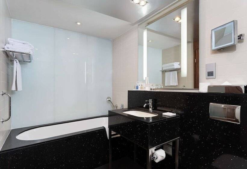 プレミアムルーム, Radisson Blu Belorusskaya